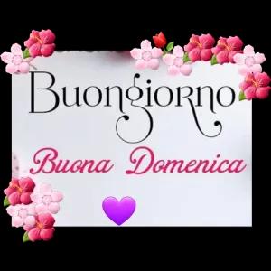 Buongiorno Buona Domenica - getsticker.com
