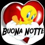 Buona Notte