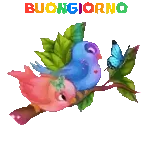 BUON GIORNO