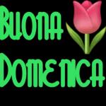 Dolce sogni