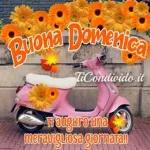 BUONA DOMENICA