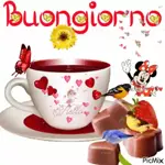 La Gioia è Contagiosa 🤗✨