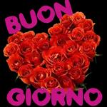  Buona
Notte