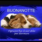 Buonanotte