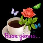 buon giorno