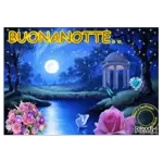 notte ani