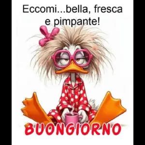 Eccomi...bella, fresca e pimpante! BUONGIORNO - getsticker.com
