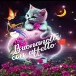 Buon S.Valentino