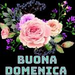 c'è tropposilenzionon va bene