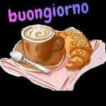 两只可爱的小猫依偎在一起睡觉