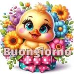 Buongiorno