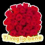Buona
Notte
