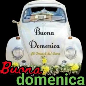 Buona Domenica Gli Ortacoli del Curre Buena domenica - getsticker.com