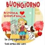 BUONA DOMENICA