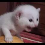 buongiorno di cuore 💖 