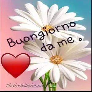 Buongiorno da me . Ilbellodelledonne - getsticker.com