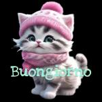 Buongiorno!