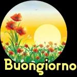 buongiorno