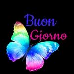 Buon
Giorno