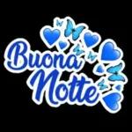 Buonanotte 29