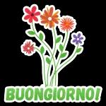 serena giornata 🌤