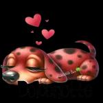 buona notte