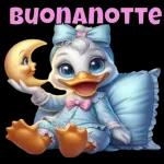 BUONANOTTE
