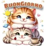 BGiorno
