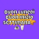 misto 49
