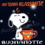 buona notte