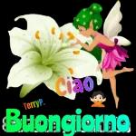 Buon mercoledìChe sia per tuttiuna giornata serenaBuongiorno