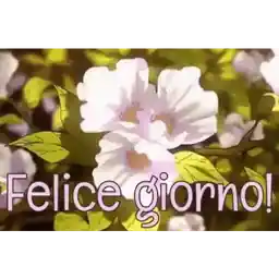 Felice giorno!