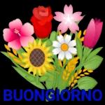 Buona
Giornata