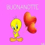 Buona Notte Sogni d'Oro