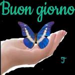 UN NUOVO GIORNOTic toc cSvegliaXAIsorrisoBUONGIORNOyDOUDE OTRAProverbiBellit