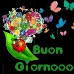 Con un sorriso ed un caffe a me e a te!!