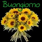 Buongiorno