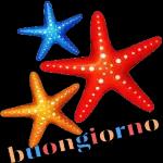 Buongiorno