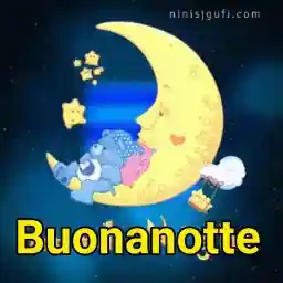 notte ani