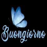 BUON GIORNO