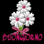 Empat
BUONGIORNO