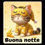 notte 