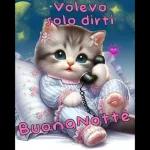 buonanotte 