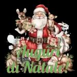 Auguri di Natale!