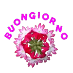 in movimento 