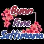 Buongiorno Buon inizio Settimana Salvo