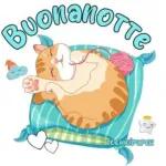 buona notte