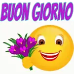 in movimento 