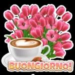 BUONGIORNO!