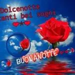 Buonanotte 50